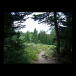 Grand Teton Trail Print