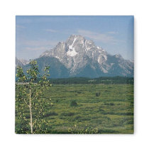 Grand Tetons magnets