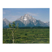 Grand Tetons, Wyoming Postcard