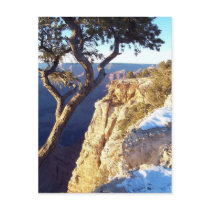 GrandCanyon-View#10 Postcard