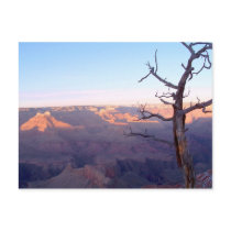 GrandCanyon-View#1 Postcard