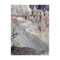 GrandCanyon-View#6 Postcard
