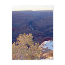 GrandCanyon-View#8 Postcard