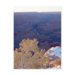 GrandCanyon-View#8 Postcard