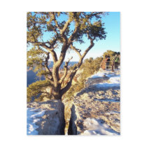GrandCanyon-View#9 Postcard