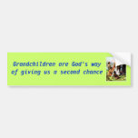 Grandchildren are God's Way Bumper Sticker