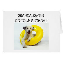GRANDDAUGHTER ON YOUR BIRTHDAY GREETING CARD