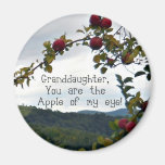 Granddaughter, You are the Apple of my eye! Magnets