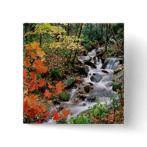 Grandfather Mountain Falls Pin