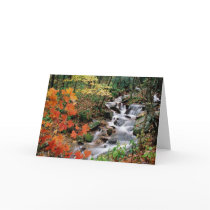 Grandfather Mountain Falls Card