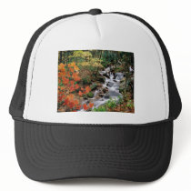 Grandfather Mountain Falls Trucker Hat