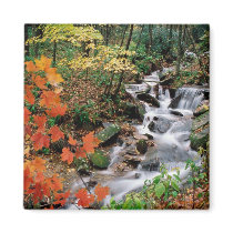 Grandfather Mountain Falls Fridge Magnets
