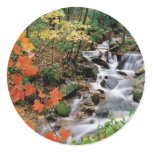 Grandfather Mountain Falls Sticker