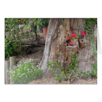 grandfather's garden II cards by sumiko grandfather's garden II cards