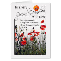 Grandma, Grandparents Day Card - Wild Poppies