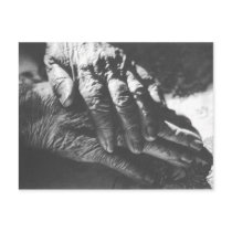 Grandma Hands Postcards