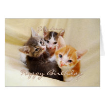 Grandma Happy Birthday Trio of Kittens Greeting Card