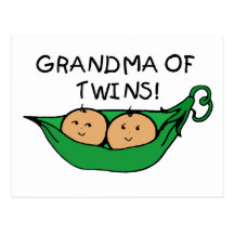 Grandma of Twins Pod Post Card