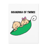 Grandma of Twins Tshirts and Gifts postcards