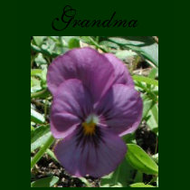 Grandma t-shirts by Just_For_Mom Grandma t-shirts