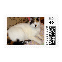 Grandma's house stamps