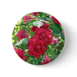 Grandma's Rose Bush buttons
