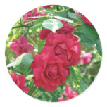 Grandma's Rose Bush stickers