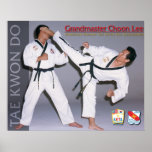Grandmaster Choon Lee AKTA Poster posters