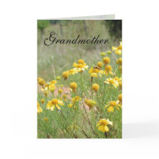Grandmother card