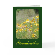 Grandmother card