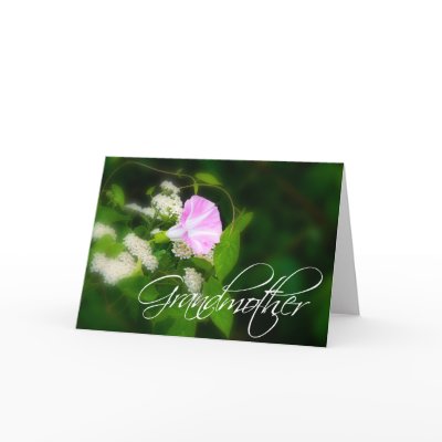 Grandmother Card, Grandmother's Day Card by TDSwhite
