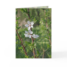 Grandmother on Mother's Day card