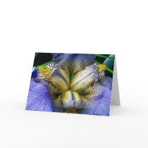 Grandmothers Iris note Cards by thumpa652001 Grandmothers Iris note Cards