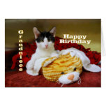 Grandniece Happy Birthday Kitten with Toy Tiger Greeting Cards