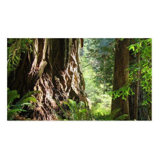 Grandpa business cards Redwood Trees (front side)