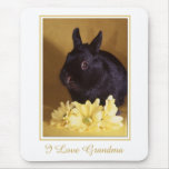 Grandparent's Day - Bunny and Daisies Mousepad