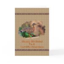 Grandson's Birthday Card with Sun Bittern Bird
