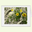 Granite Cliff Gifts cards