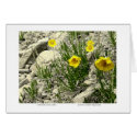 Granite Cliff Gifts cards by susanreynolds Granite Cliff Gifts cards
