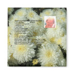 Granny's Chocolate Chip Cookies Recipe magnet Granny's Chocolate Chip Cookies Recipe magnet