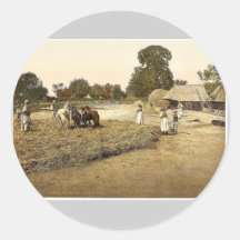 Grano de trilla, foto rara de Bosnia, Austro-Hungr Etiquetas