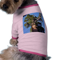 Grant Trees Sequoias Bark Branches Pet Tee