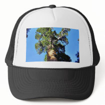 Grant Trees Sequoias Bark Branches Hats