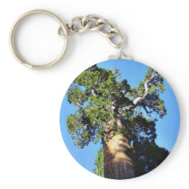 Grant Trees Sequoias Bark Branches Keychain