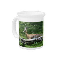 grants-gazelle-12x9 pitchers