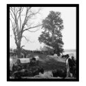 Grant's Wilderness Campaign Wagon Train 1864 posters by lc_civilwar Grant's Wilderness Campaign Wagon Train 1864 posters