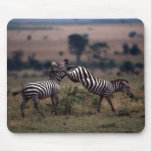 Grant's Zebra - Fighting Mousepad
