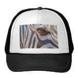 Grant's Zebra Hats