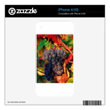 Grape Cluster Skin For iPhone 4