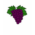 Grape Fruits of the Spirit T-shirt